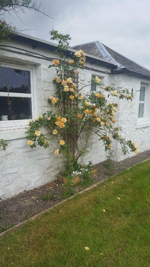 Willa Barcloy Honey House Kirkcudbright Zewnętrze zdjęcie