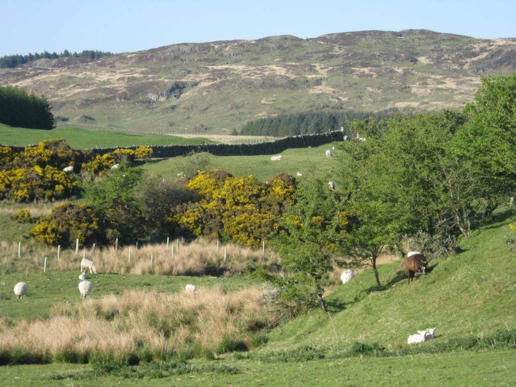 Willa Barcloy Honey House Kirkcudbright Zewnętrze zdjęcie